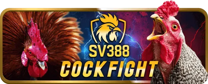 Rút tiền thắng cược vin678